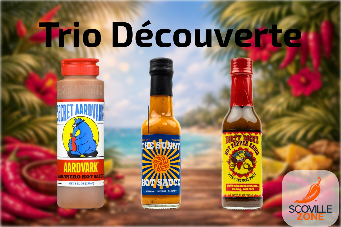 Trio Découverte